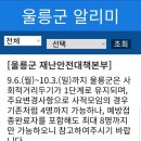 (주)우산국투어 | 흑기사,가을의 문턱에서 독도에도 가보고,태고의 섬 무인도 관음도 보러가기,9월둘째주 울릉도 날씨정보.