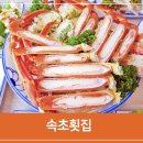 돌섬앞바다 | 속초 횟집, 영금정 근처 지역민들의 돌섬대게횟집
