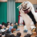 가락병설유치원 | 목포부주초 병설유치원 풍물마당놀이 해피 공연 후기 | 2026년에도 인기만점
