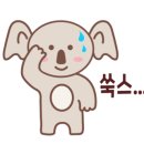 바른고기정육점 이미지