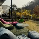 용인브런치카페 &#39;cafe801 너에게 말을 걸다&#39; 방문 후기!