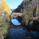 백송마을상록경로당 | 창녕 만년교와 밀양은행나무