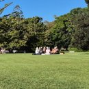 파이키앤컴퍼니(주) | 행복의 다음 단계는 시드니(1월 시드니 여행 01)