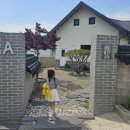 동행키즈풀빌라펜션 이미지