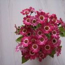 금강산 민박 이미지