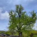 고산윤선도유물전시관(휴관) 이미지