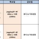 &lt;런린이의 풀마라톤 도전기&gt;2024.10.24 : 자율 훈련(부상이라 조깅으로 대체)