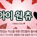 홀리카홀리카
