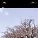 아아무(aamu) 이미지