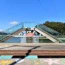 삼척해변 이미지