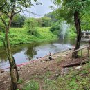 캠프예그리나 이미지