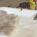 포메민박 | 강릉 주문진 소돌해변 바로앞 힐링 숙소추천, 복돌네민박 (반려묘,반려견과의 하룻밤💛)