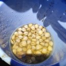 변산오토캠핑장 이미지