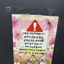 댕댕스토리 | 양산 실내 애견카페 대형견데이 있는 댕댕휴개소