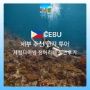 [11/27] 간단히 배우는 스마트폰 사진촬영 | 세부투어 추천 현지투어 체험다이빙 정어리떼 바로 앞에서 후기 할인팁
