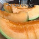 상훈집 네이버블로그