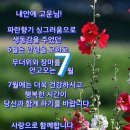 행복한 7월 되세요 이미지