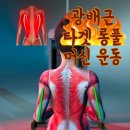 타이거휘트니스