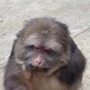 차곰차곰 이미지