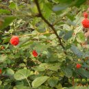 진원동초등학교 이미지