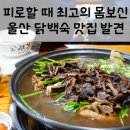 가시오가피삼게탕 | 울산 백숙 맛집 삼산 능이와백숙, 삼계탕 최고 몸보신 음식 아님꽈?!