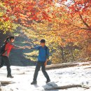 가을동화 이미지