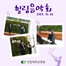 도보체 이미지