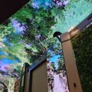 인스파이어 이미지