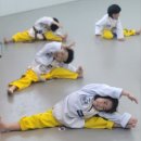 MTA라이온즈태권도 이미지