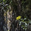 작은새재 이미지