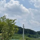 GR(괴산군)-[충민로]-하-18 | Taste. /[충북괴산카페][괴산대형카페][괴산뭐하농하우스] 괴산의 야외카페 (+솔직후기,메뉴추천)