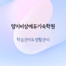 양지비상에듀기숙학원 | 양지비상에듀기숙학원 생활관리 학습관리 실제 경험 후기