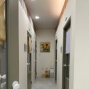 아이캣 고양이미용 호텔 이미지