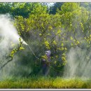 흥농종묘 이미지