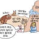 스토리텔링 한국사 네이버블로그