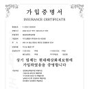 지리산황금나무 이미지