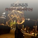 버드투블룸 웨딩촬영 후기 준비물 야외 로드신 가격 (조안식 작가님)
