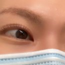 오늘 the 예쁜눈썹 이미지