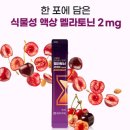 로맨시브 | 멜라토닌 음료, 멜라토닌 3mg보다 2.6배 빠른 입면! 서울대 임상 입증 수면음료 효과·후기 완벽 분석
