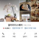 딥플리슬로우리 네이버블로그