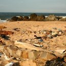 그린하우스 이미지