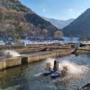 송어의집 이미지