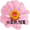 ㈜수채화 이미지