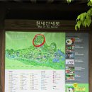 가평 여행 - 아침고요수목원 봄꽃페스타 방문 후기 5월 서울 근교 꽃축제 구경 튤립 위치