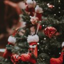 수경왕만두찐빵 이미지