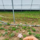 대송농장 이미지