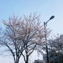 꽃땀퀼트