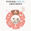 부루펫 | 강아지 알러지 때문에 사료 고민하다가 드디어 해답 찾은 후기 펫마당 배부루다로 경험한 변화 이야기