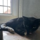 쥬시동물병원 이미지