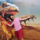 춘양전통시장 이미지